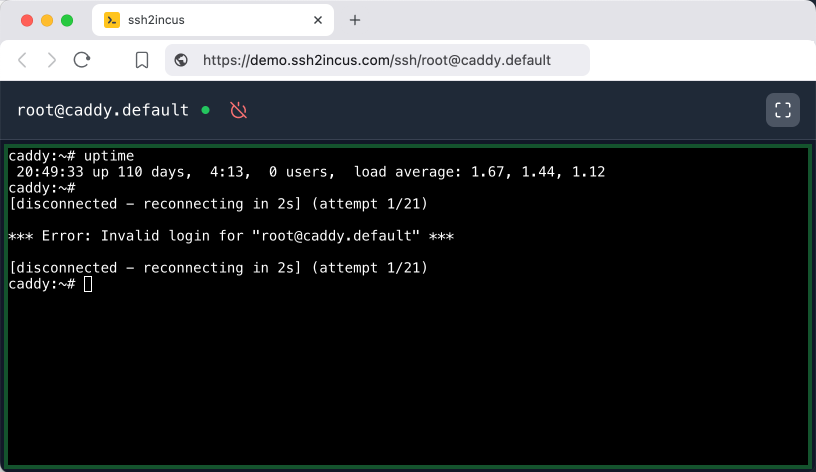 Web-based terminal with auto-reconnection feature